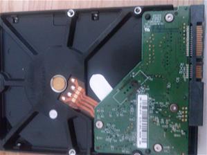 photo2