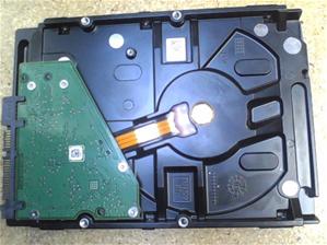 photo2